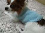 2008100900120001.jpg