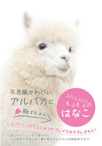 もふもふはなこ.jpg