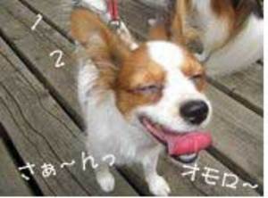 オモロ顔.jpg