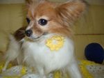 blog2img.jpg