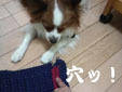mat1のコピー.jpg