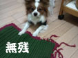 mat2のコピー.jpg